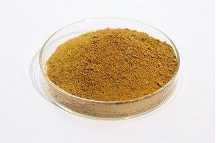 選擇聚合氯化鋁時主要看哪些指標(biāo)？