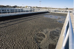 【干貨】泥齡導致的氨氮超標？那這種情況該如何處理呢？