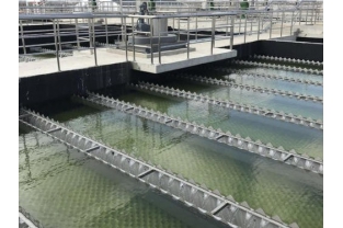 【干貨】有機物導致的氨氮超標?這種情況該如何處理呢？