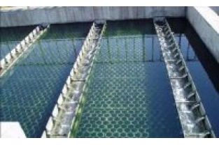 【干貨】生物濾池為什么一受沖擊氨氮去除率就會(huì)下降？