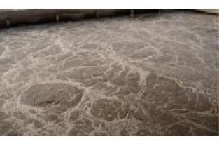 添加碳源的后續(xù)處理困難點(diǎn)